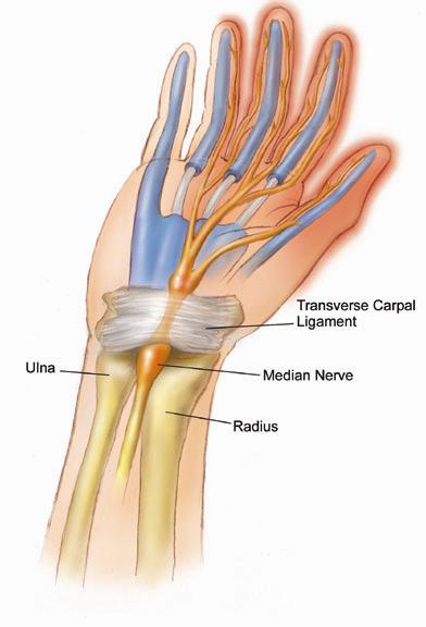 Trauma Surgery procedure